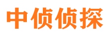 嘉鱼寻人公司